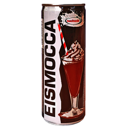 Eiskaffee Mocca 2.4%mm 250ml